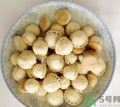 壯陽(yáng)果怎么食用？壯陽(yáng)果的功效與作用