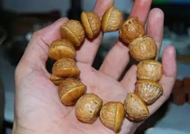 壯陽果怎么泡酒？ 壯陽果泡酒的功效與作用