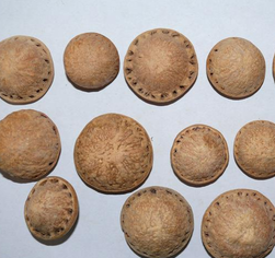 壯陽果怎么泡酒？ 壯陽果泡酒的功效與作用