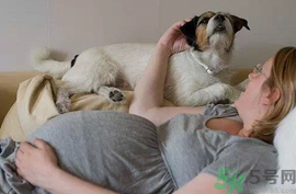 孕婦可以養(yǎng)狗嗎？養(yǎng)狗對孕婦有影響嗎？