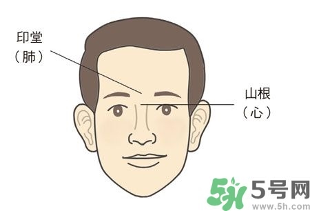 耳垂上有豎紋是怎么回事？山根有橫紋是什么病？