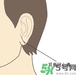 耳垂上有豎紋是怎么回事？山根有橫紋是什么??？