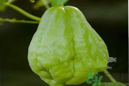 佛手瓜的功效與作用是什么？佛手瓜的營(yíng)養(yǎng)價(jià)值有哪些？