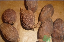 草果是什么？草果的功效與作用