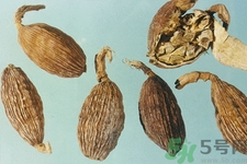 草果是什么？草果的功效與作用