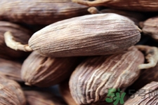 草果是什么？草果的功效與作用