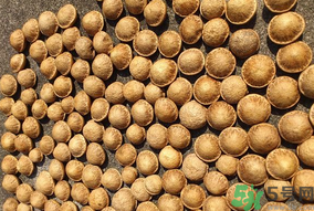 壯陽果怎么吃？壯陽果怎么吃效果最好？