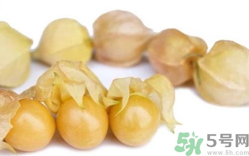 燈籠果怎么保存?燈籠果可以放冰箱嗎? 燈籠果怎么保存?燈籠果可以放冰箱嗎?