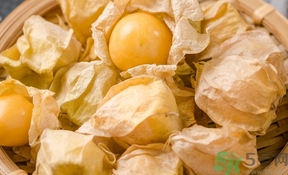 燈籠果怎么保存?燈籠果可以放冰箱嗎? 燈籠果怎么保存?燈籠果可以放冰箱嗎?