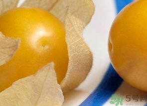 燈籠果怎么保存?燈籠果可以放冰箱嗎? 燈籠果怎么保存?燈籠果可以放冰箱嗎?