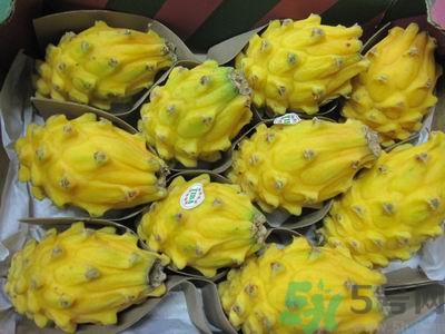 麒麟果怎么吃?麒麟果的吃法 麒麟果怎么吃?麒麟果的吃法