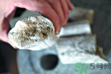 鹿角霜的藥用價值是什么？鹿角霜的功效和作用