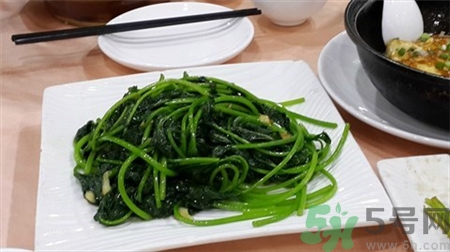 紅薯葉可以和雞蛋一起吃嗎?紅薯葉和雞蛋一起吃會怎樣? 紅薯葉可以和雞蛋一起吃嗎?紅薯葉和雞蛋一起吃會怎樣?