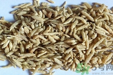 麥冬的營養(yǎng)價值有哪些？麥冬的功效與作用是什么？