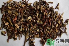 皂角刺的藥用價(jià)值是什么？皂角刺的功效與作用有哪些？