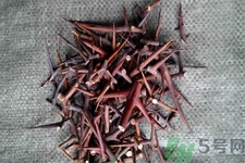 皂角刺的藥用價(jià)值是什么？皂角刺的功效與作用有哪些？