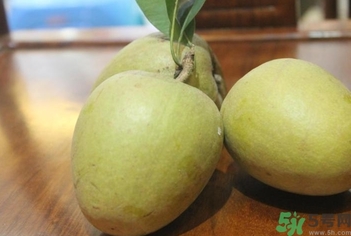 人心果的功效作用 人心果的營(yíng)養(yǎng)和食用禁忌 人心果的功效作用 人心果的營(yíng)養(yǎng)和食用禁忌