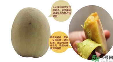 人心果的功效作用 人心果的營(yíng)養(yǎng)和食用禁忌 人心果的功效作用 人心果的營(yíng)養(yǎng)和食用禁忌