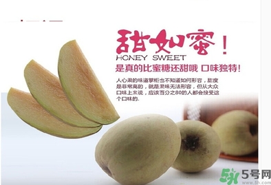 人心果的功效作用 人心果的營(yíng)養(yǎng)和食用禁忌 人心果的功效作用 人心果的營(yíng)養(yǎng)和食用禁忌