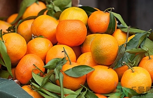 橘子白色的絲吃了好不好？橘子白色的絲能吃嗎？