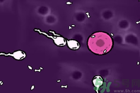 哪些人最容易患陰道炎？陰道炎影響懷孕嗎？