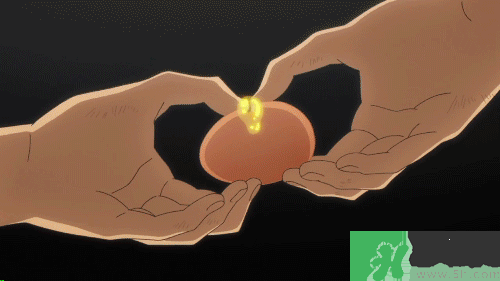 烏龜?shù)爸蟛皇煸趺崔k？烏龜?shù)爸蠖嗑媚艹?