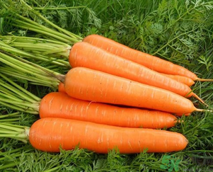 感冒可以吃月餅嗎？感冒期間的飲食禁忌