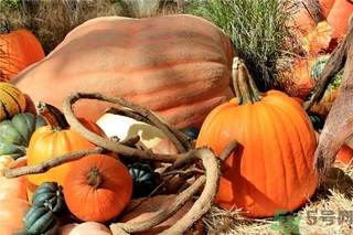 秋燥吃什么好？秋燥怎么辦？