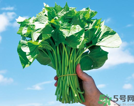 孕婦可以吃地瓜葉嗎？孕婦吃地瓜葉的好處