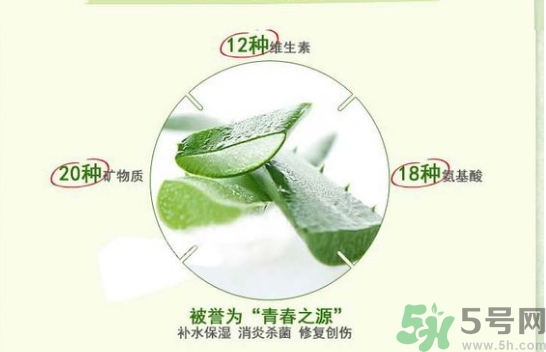 the saem得鮮和自然樂園哪個好？得鮮的蘆薈膠和自然樂園哪個好？