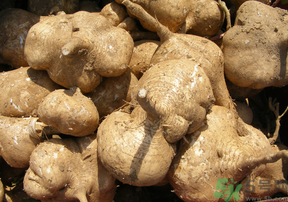 地瓜可以和蝦一起吃嗎？地瓜和什么不能一起吃？