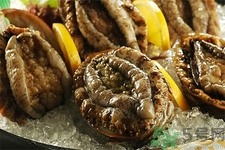 鮑魚(yú)如何挑選？鮑魚(yú)怎么保存？