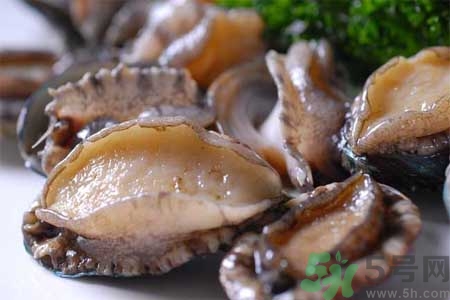 鮑魚的營養(yǎng)價(jià)值有哪些？鮑魚的藥用價(jià)值是什么？