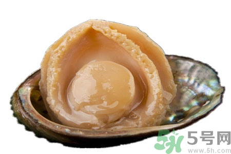 鮑魚的營養(yǎng)價(jià)值有哪些？鮑魚的藥用價(jià)值是什么？