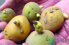 土豆發(fā)芽了還能吃嗎？發(fā)芽的土豆吃了會(huì)怎么樣？