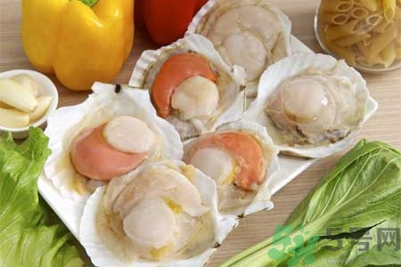 如何挑選扇貝？活扇貝怎么保存？