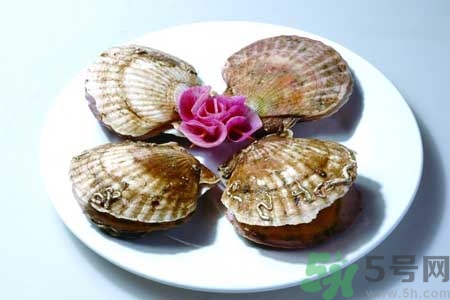 如何挑選扇貝？活扇貝怎么保存？