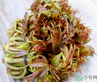 孕婦可以吃香椿嗎？孕婦吃香椿的好處及注意事項(xiàng)