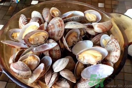 蛤蜊的食用方法有哪些？蛤蜊的營養(yǎng)價值是什么？