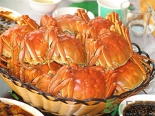 吃螃蟹能喝酒嗎?吃螃蟹喝什么酒? 吃螃蟹能喝酒嗎?吃螃蟹喝什么酒?