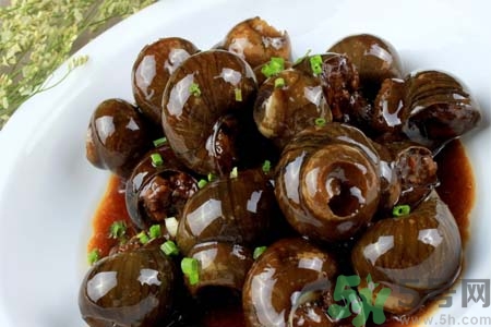 田螺肉怎樣做？田螺的營養(yǎng)價(jià)值有哪些？