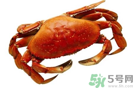 活螃蟹怎么洗？凍螃蟹怎么洗？