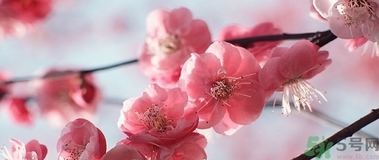 歐舒丹是什么牌子？歐舒丹是什么檔次的牌子？