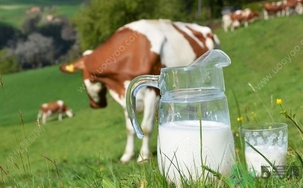 15歲男孩腰疼怎么回事？15歲男孩腰疼怎么辦？