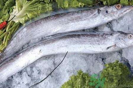 帶魚怎么洗？帶魚如何處理？