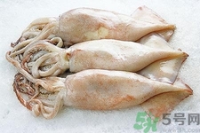 魷魚怎么處理？干魷魚怎么泡發(fā)？