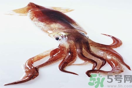 魷魚怎么處理？干魷魚怎么泡發(fā)？