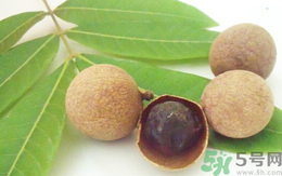 孕婦可以吃干桂圓嗎？孕婦吃干桂圓好嗎？