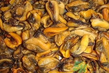 淡菜是什么？淡菜的營(yíng)養(yǎng)價(jià)值有哪些？