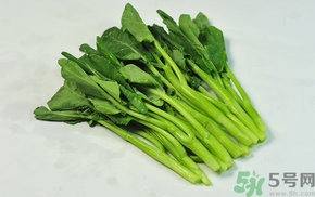 孕婦可以吃芥藍(lán)嗎?芥藍(lán)的功效與作用 孕婦可以吃芥藍(lán)嗎?芥藍(lán)的功效與作用